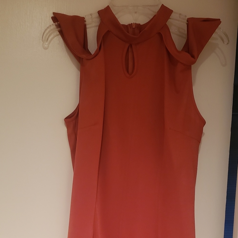 Dress - Picture 3 of 4